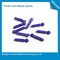 Kan Glikozu Test Eden Plastik Malzemeler İçin Cerrahi Tek Kan Lancetaları
